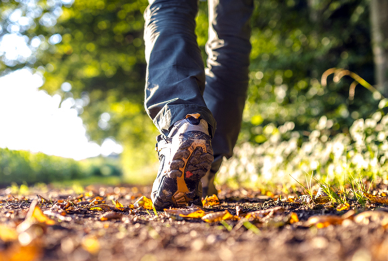Nature Trails